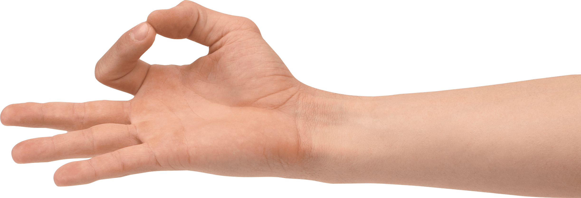 Hands Png Hand Image  PNG Image