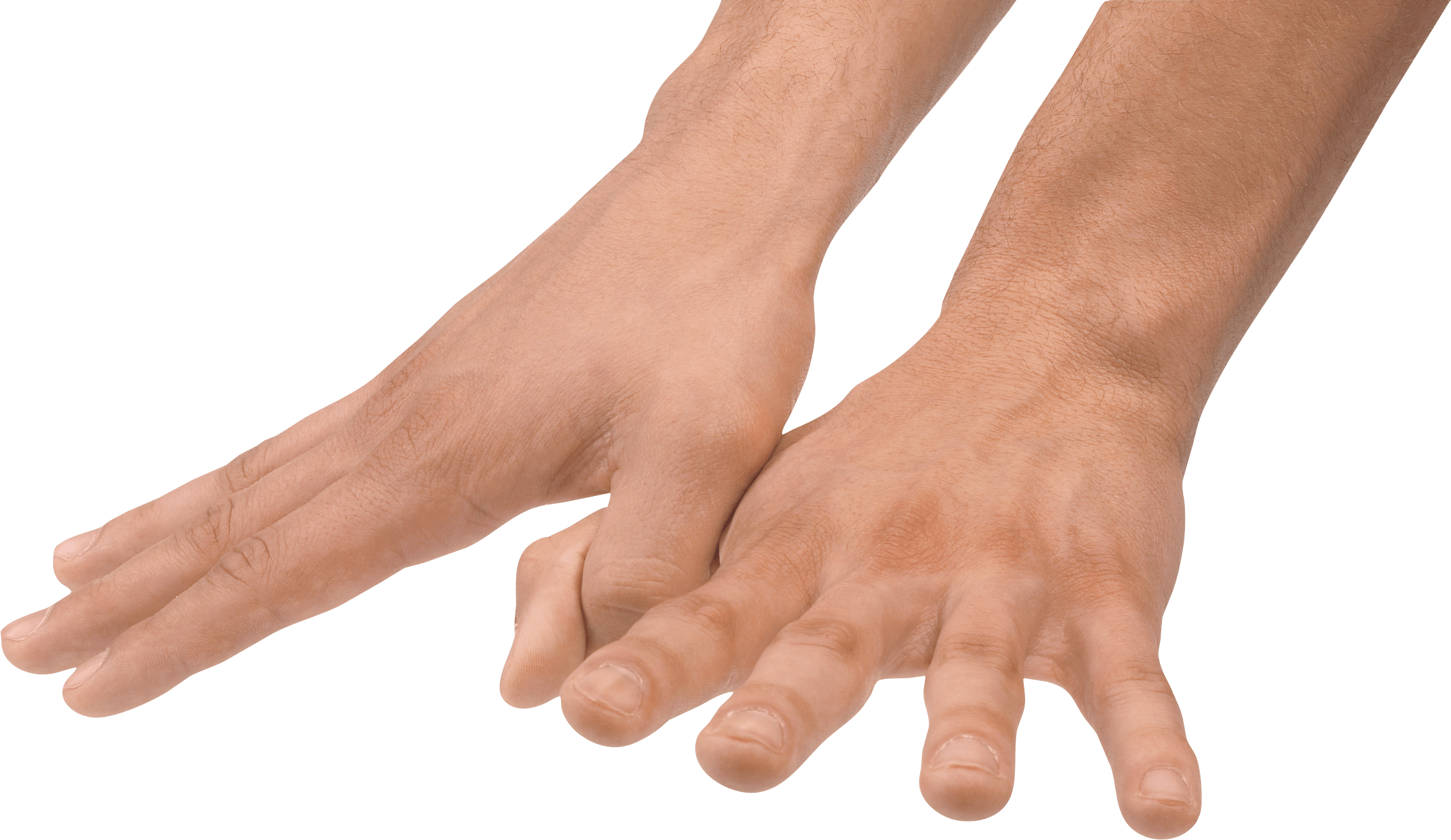 Hands Png Hand Image  PNG Image