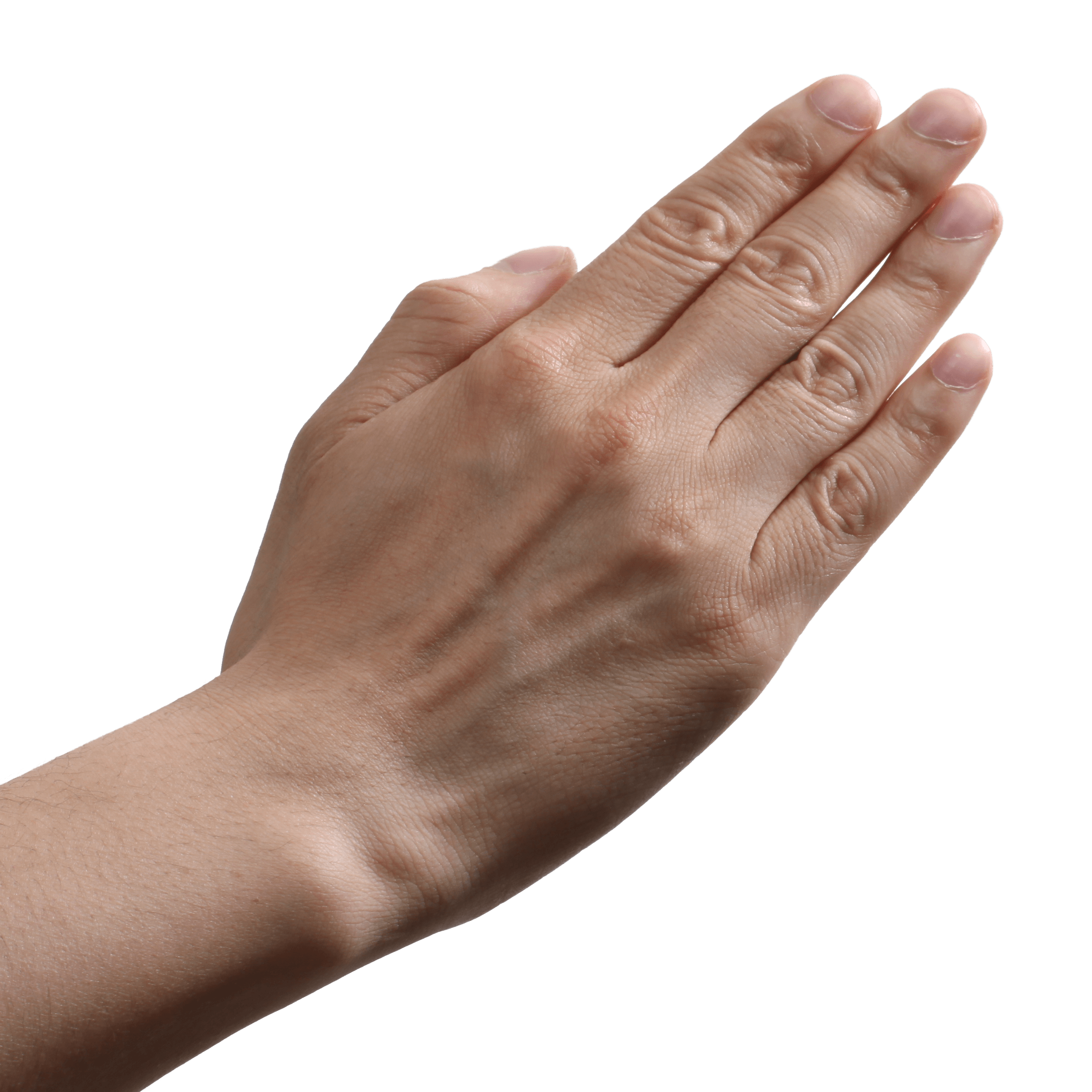 Hands Png Hand Image  PNG Image