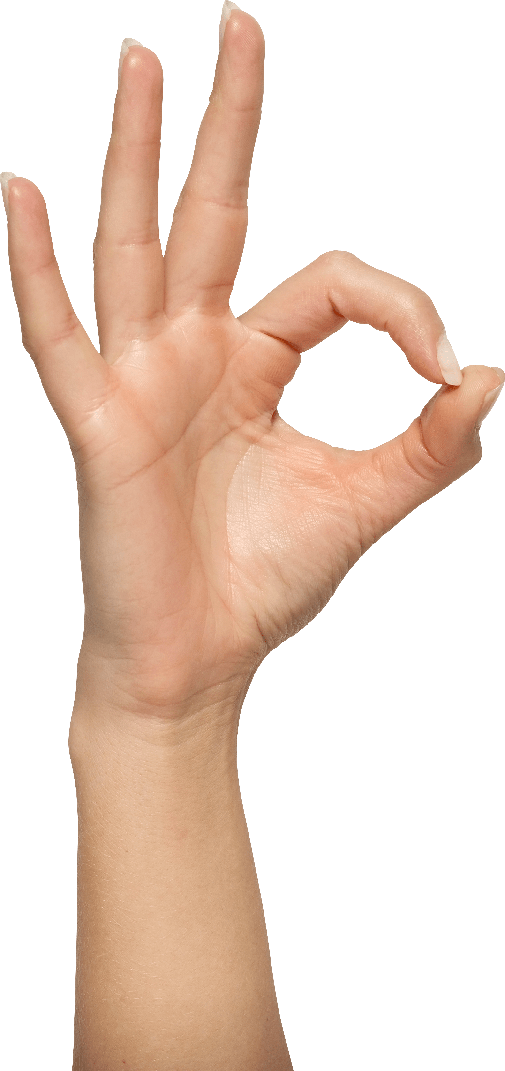 Hands Png Hand Image  PNG Image