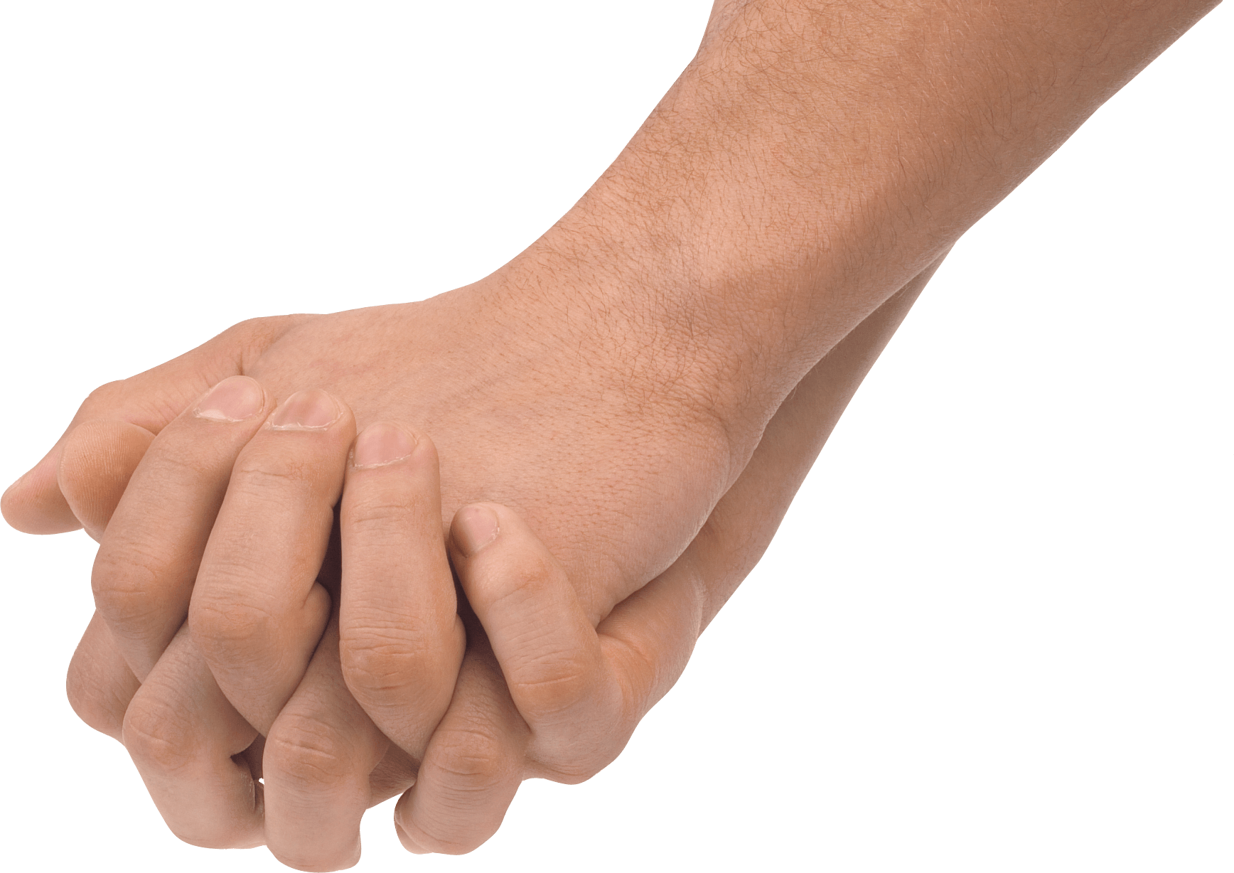 Hands Png Hand Image  PNG Image