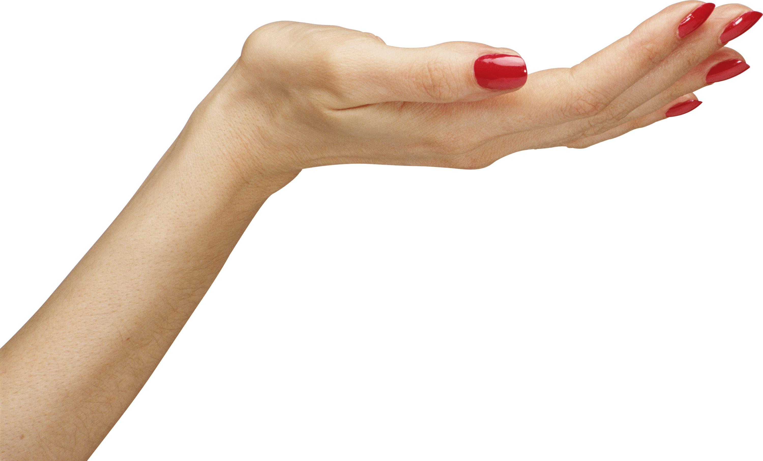 Hands Png Hand Image  PNG Image