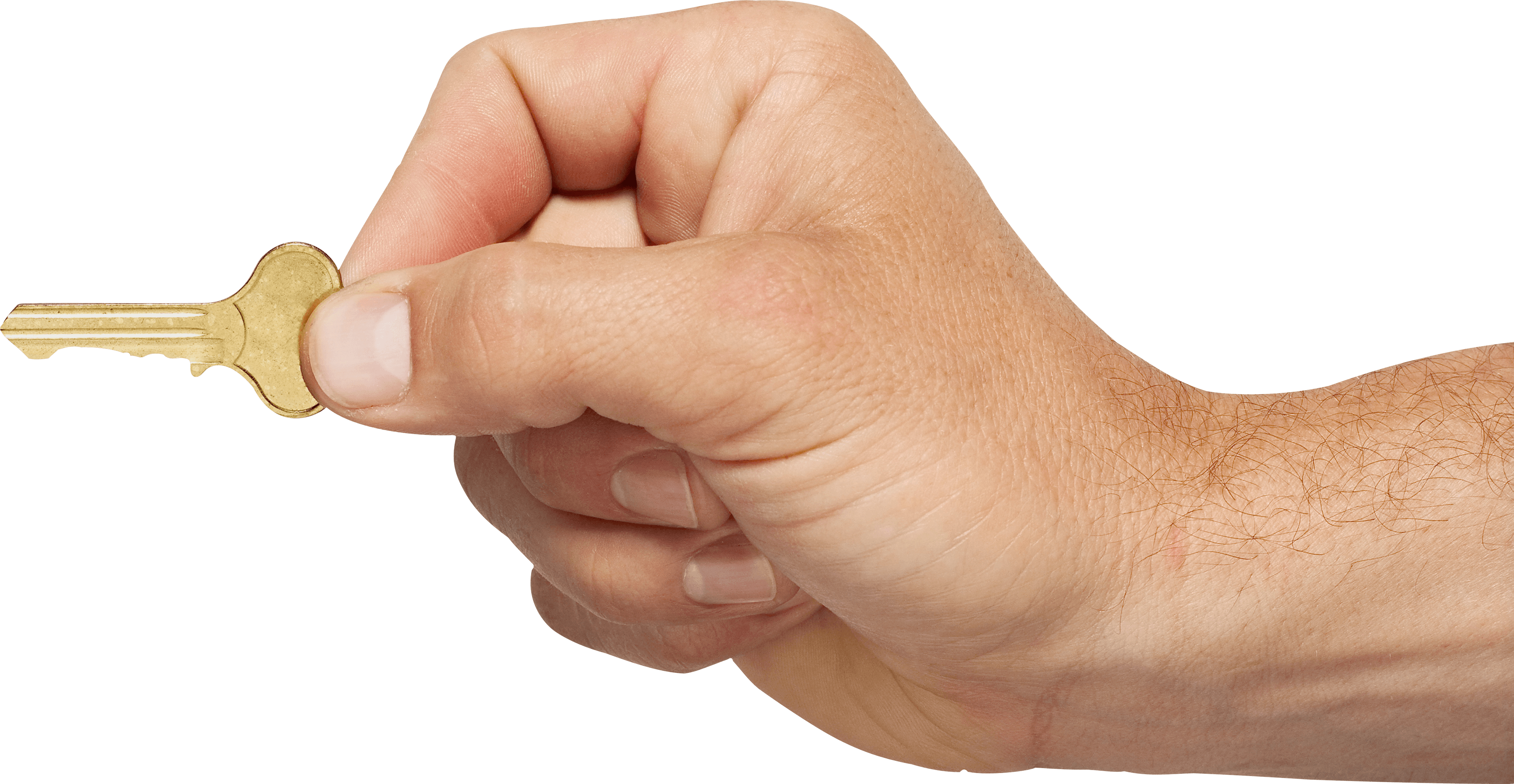 Hands Png Hand Image  PNG Image