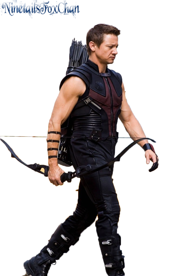 Hawkeye Transparent PNG Image