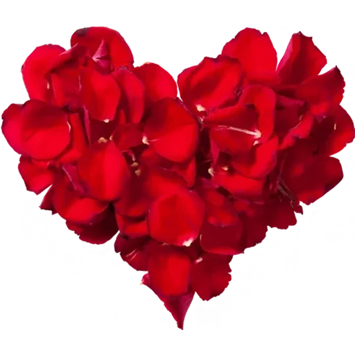 Heart Rose Free Transparent Image HD PNG Image