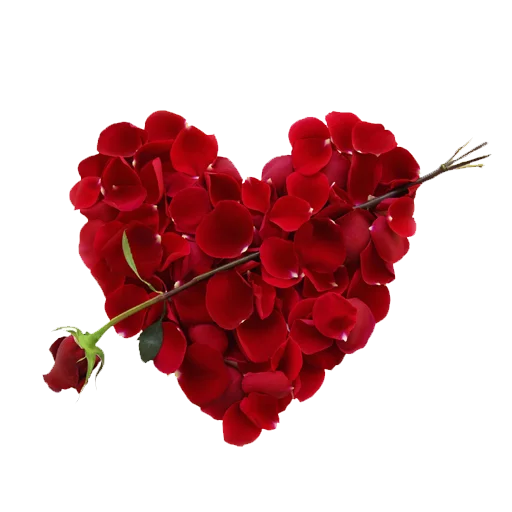 Rose Heart Download HQ PNG Image