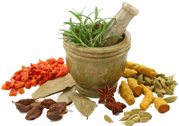 Herbs Transparent Image PNG Image