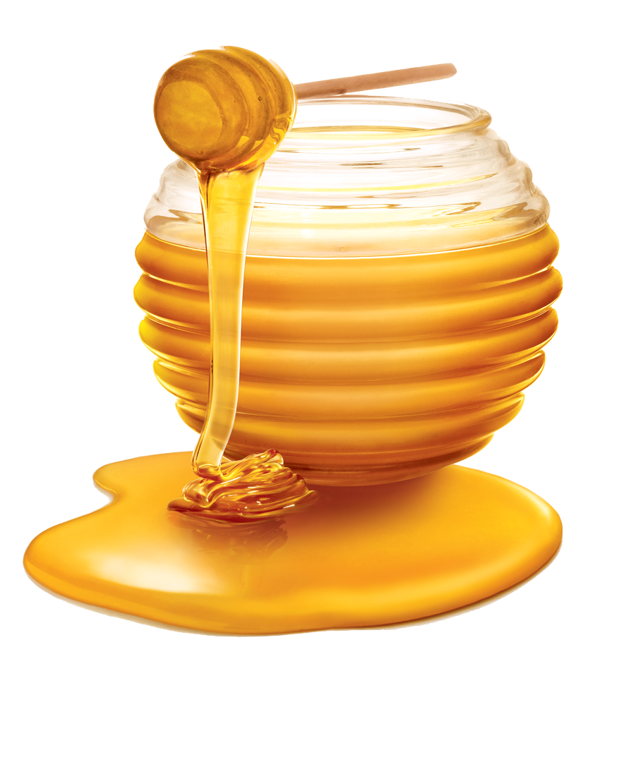 Honey Photos PNG Image