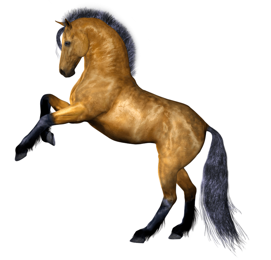 Horse Png Image PNG Image