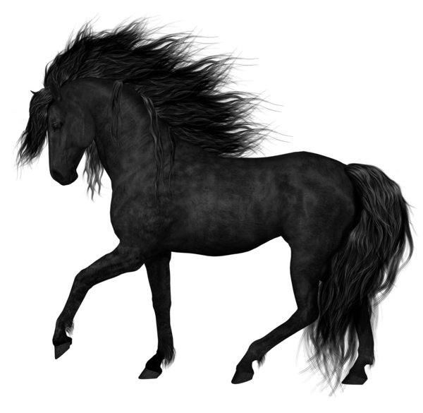 Horse Arabian Black PNG Free Photo PNG Image