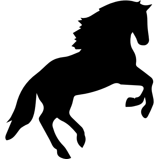 Horse Arabian Black HQ Image Free PNG Image