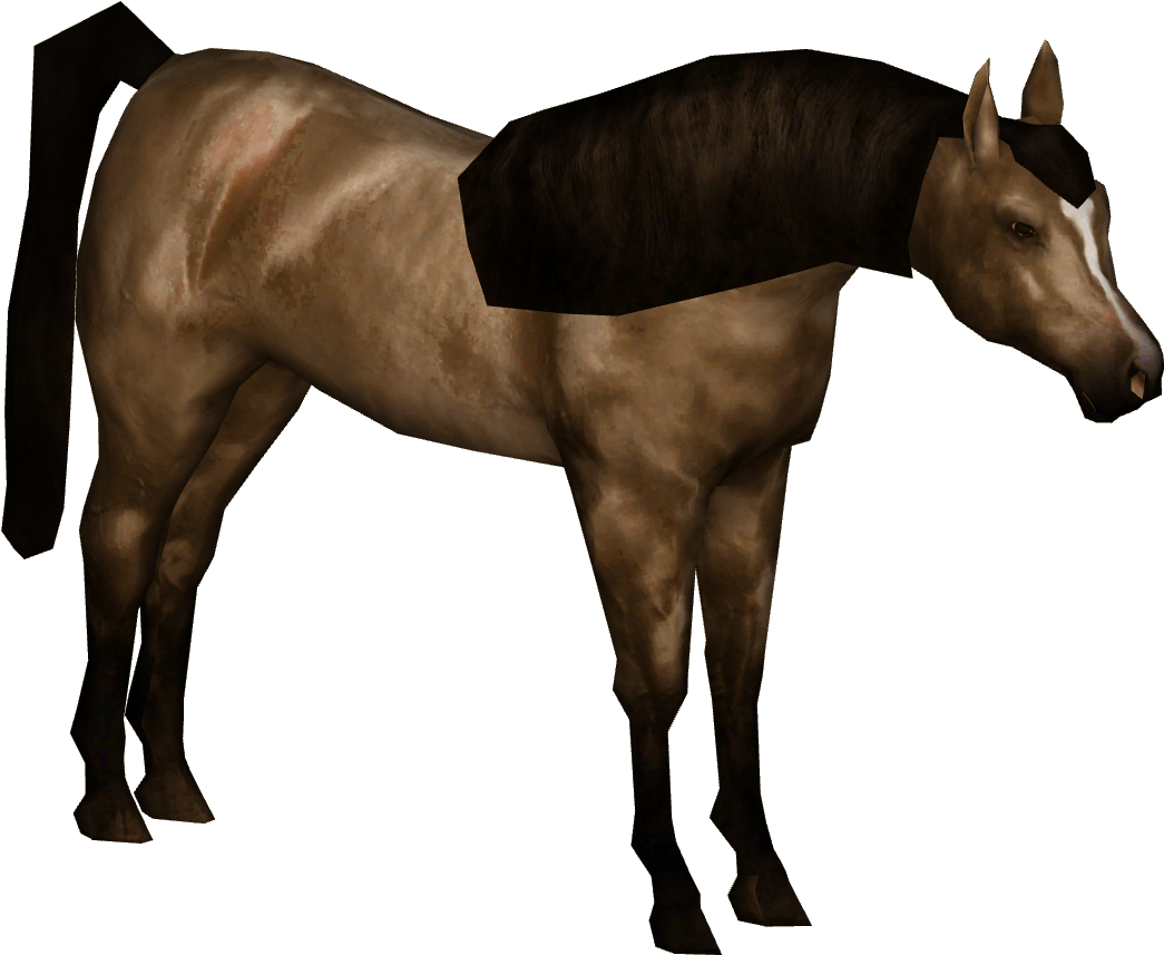 Brown Horse Arabian Photos PNG Download Free PNG Image