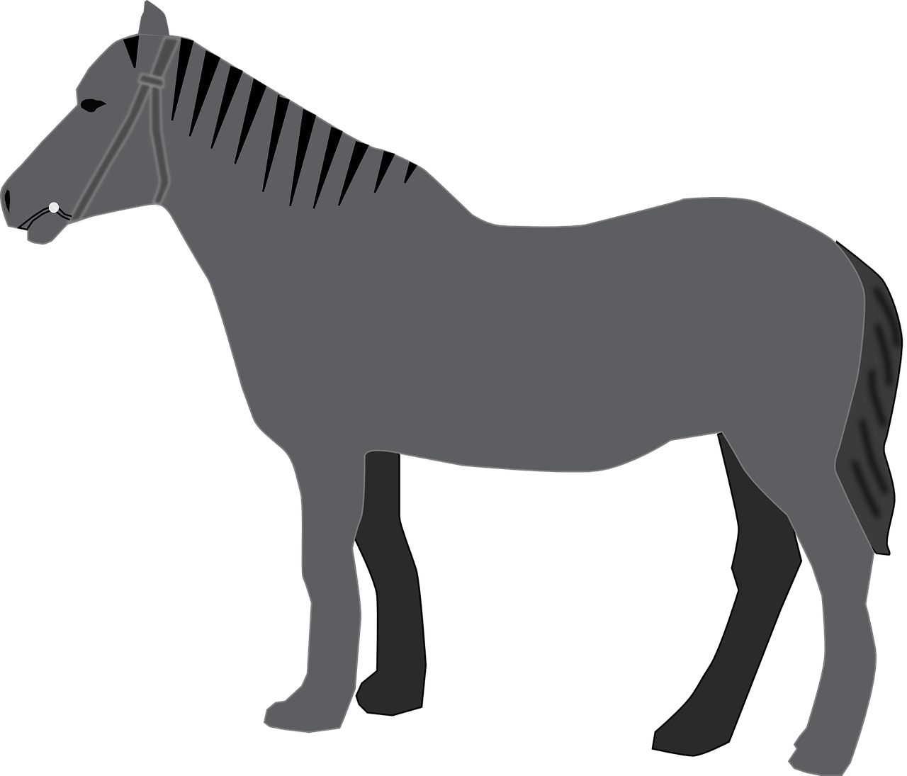 Arabian Horse Vector HD Image Free PNG Image