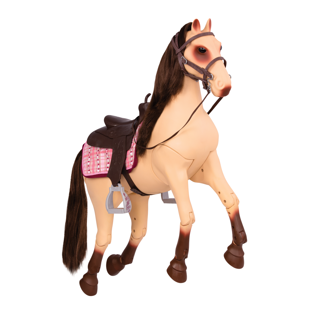 Horse Morgan Free HQ Image PNG Image