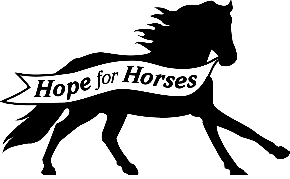 Horse Morgan PNG File HD PNG Image