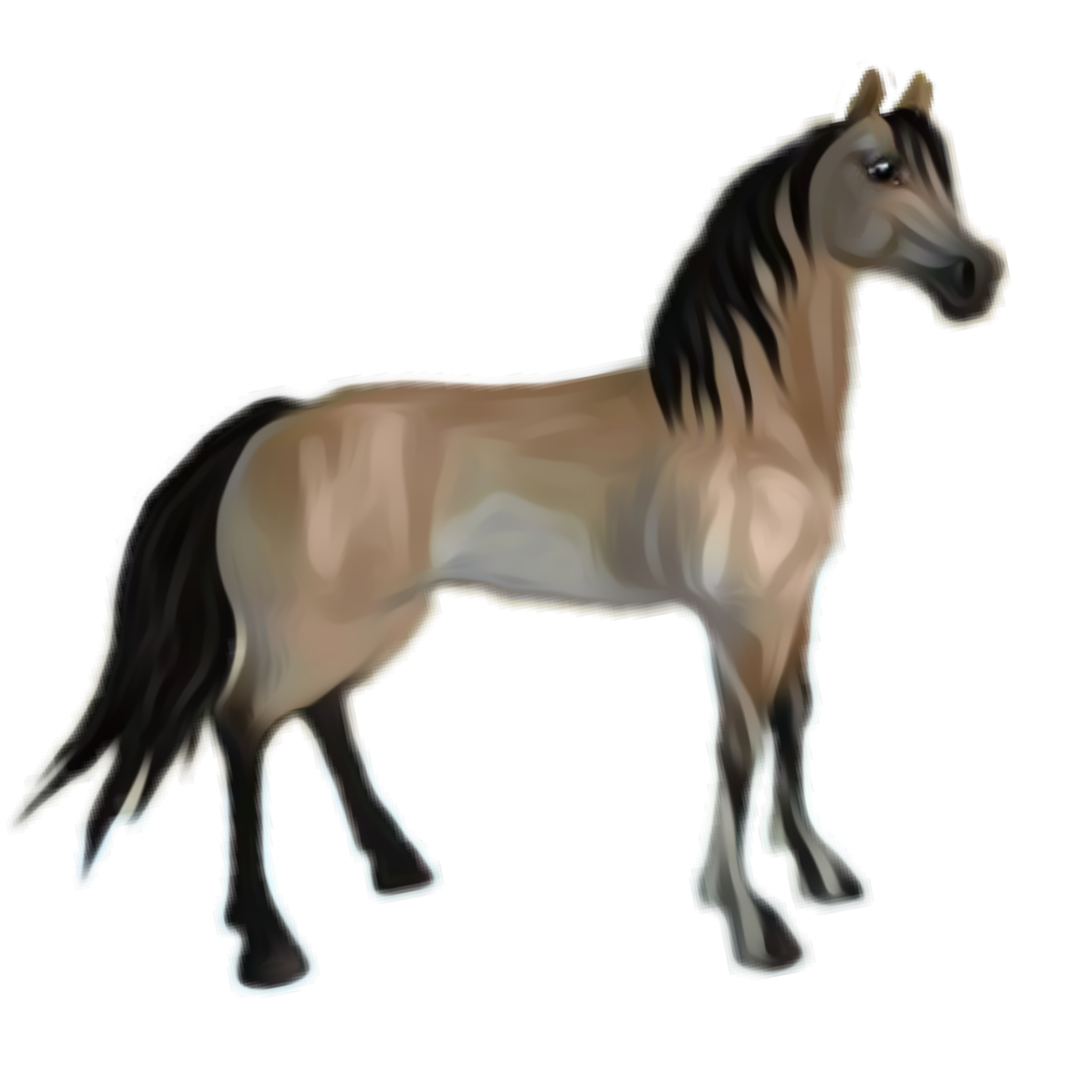 Horse Morgan HD Image Free PNG Image