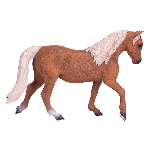 Running Horse Morgan PNG File HD PNG Image