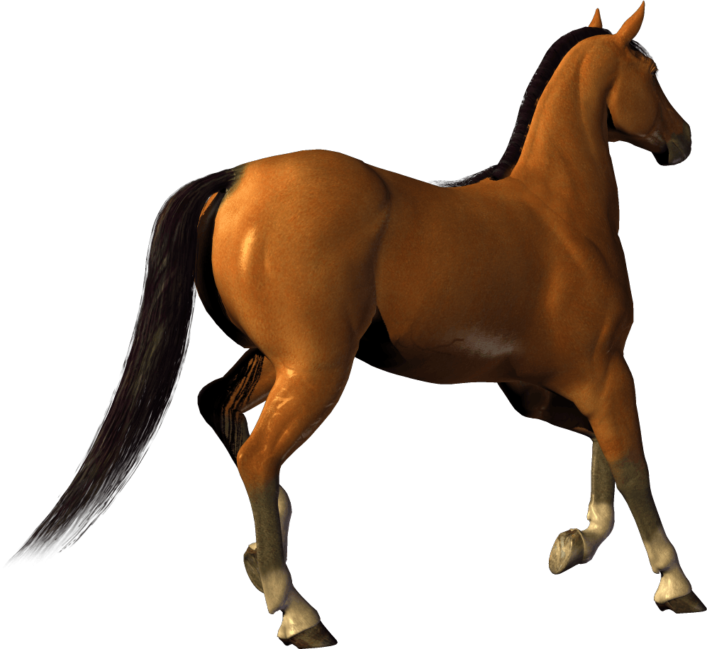 Horse Png Image PNG Image