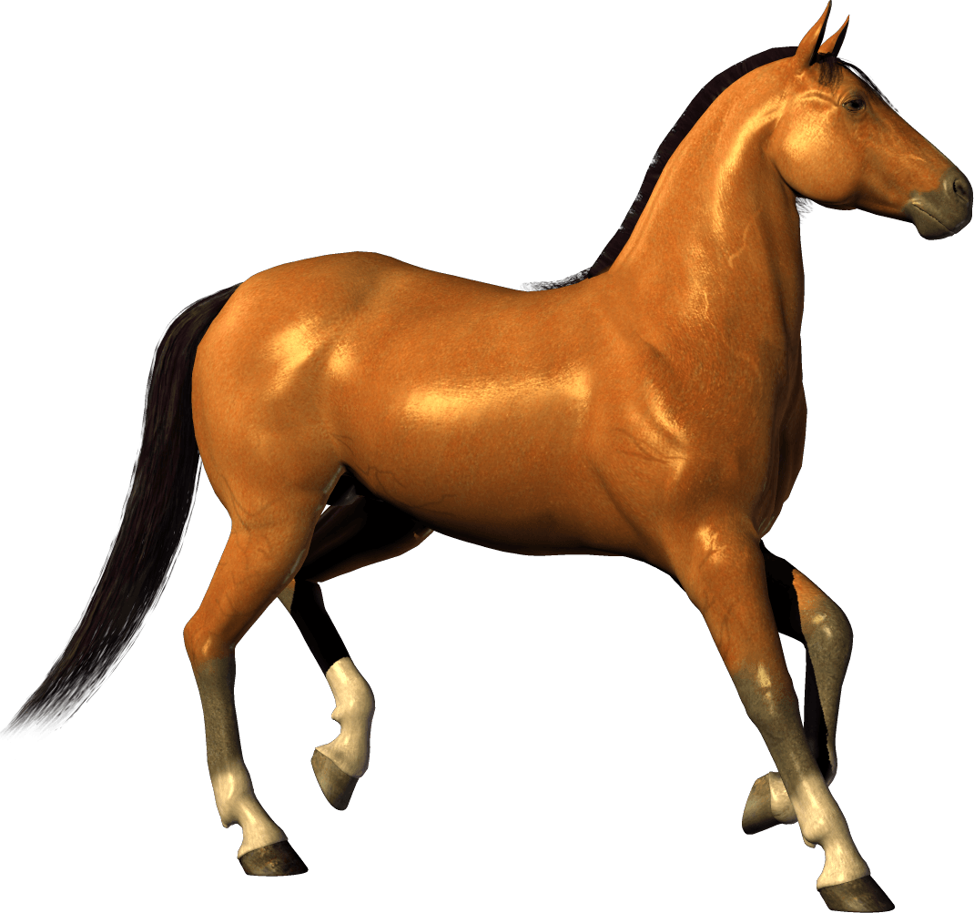 Horse Png Image PNG Image