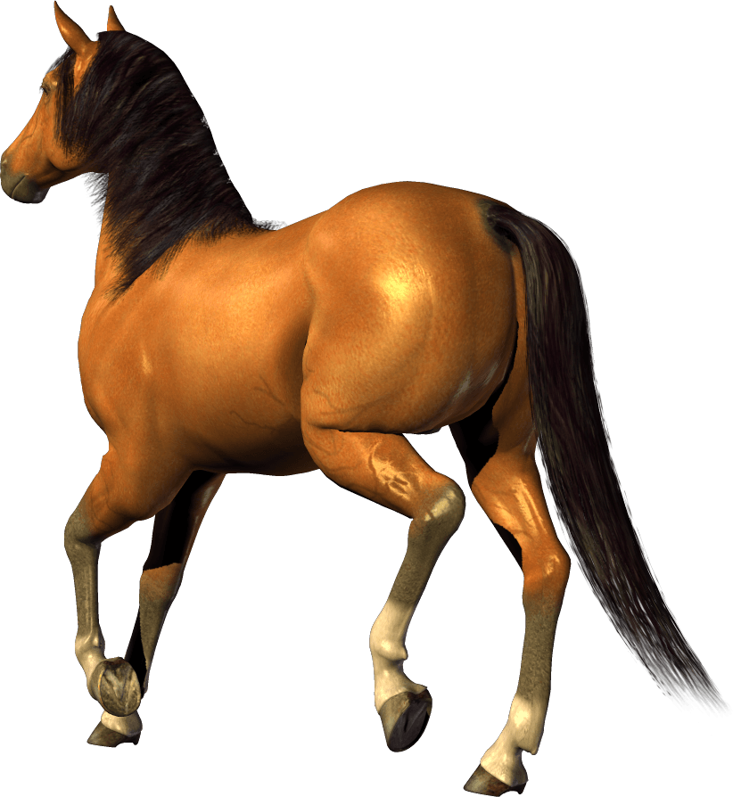 Horse Png Image Download Picture Transparent Background PNG Image