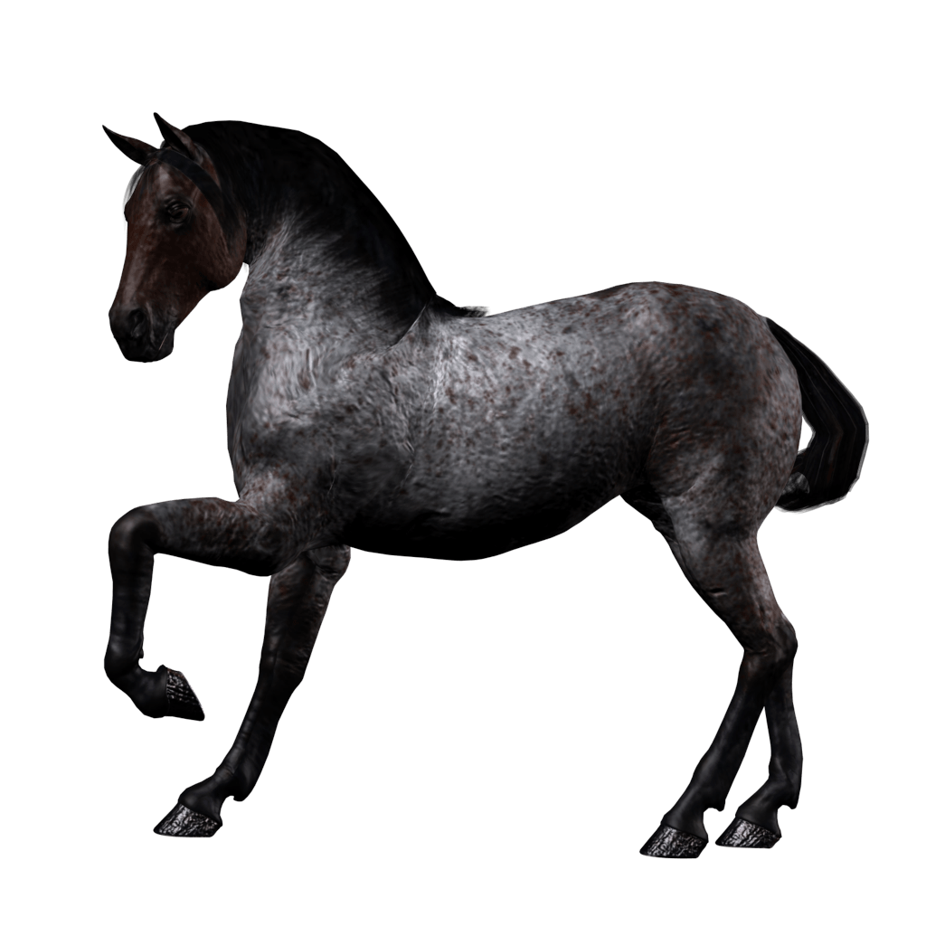 Horse Png Image PNG Image