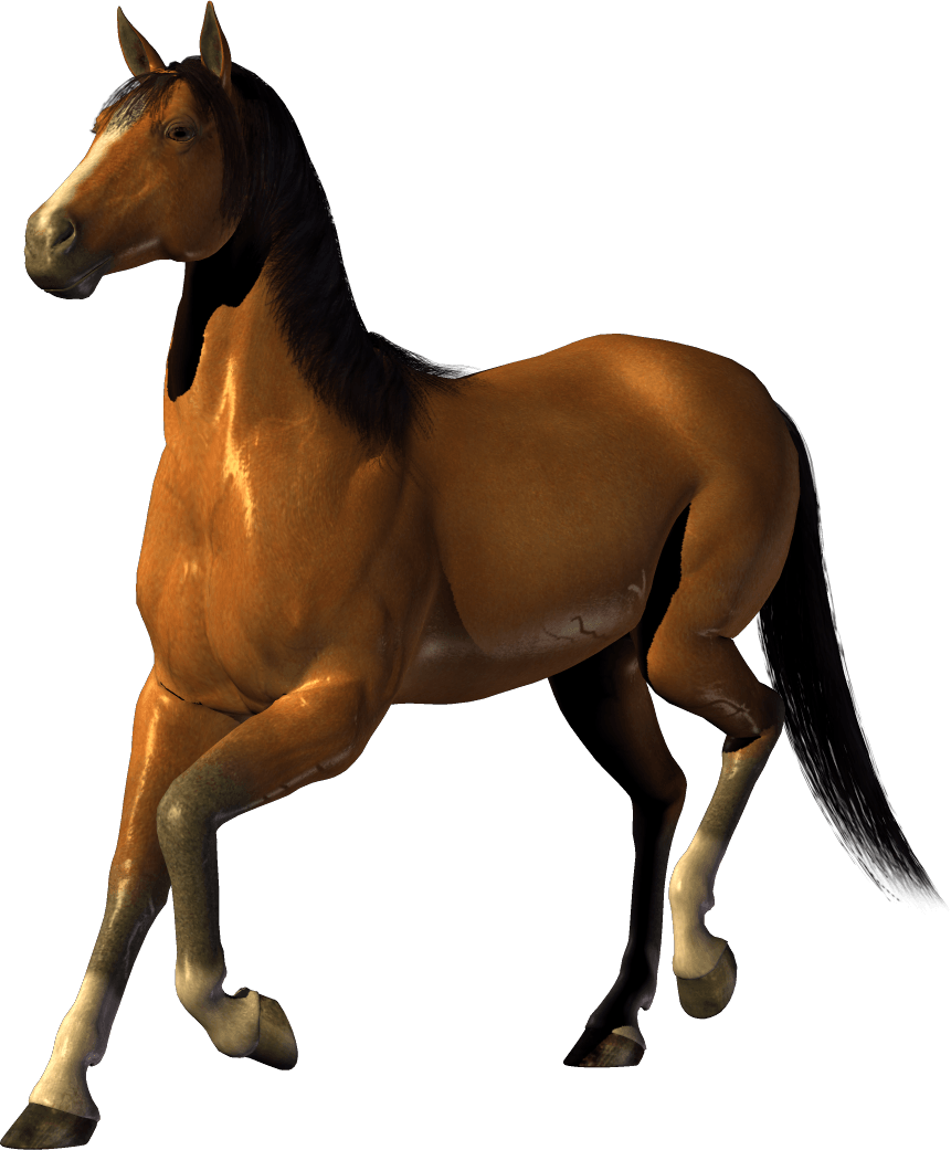 Horse Png Image Download Picture Transparent Background PNG Image