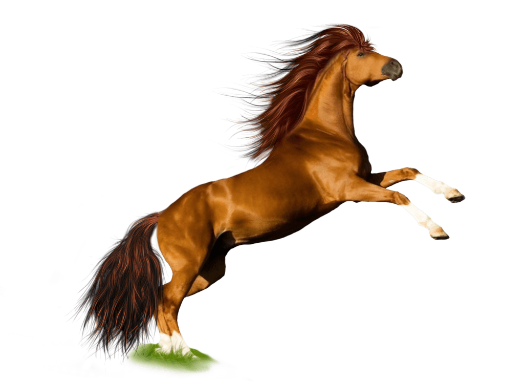 Horse Png Image Download Picture Transparent Background PNG Image