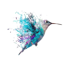 Hummingbird Tattoos Png Image PNG Image