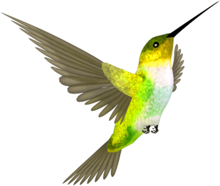 Flying Colorful Hummingbird Free Download Image PNG Image