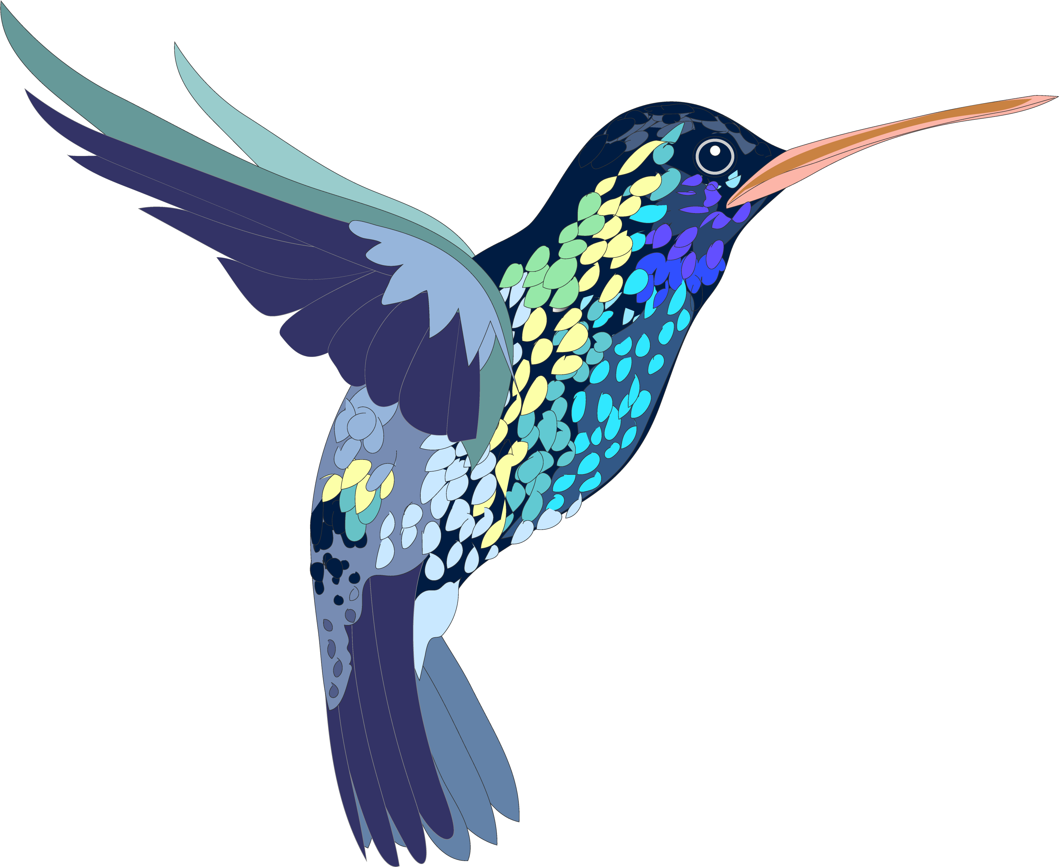 Flying Vector Photos Hummingbird PNG Free Photo PNG Image