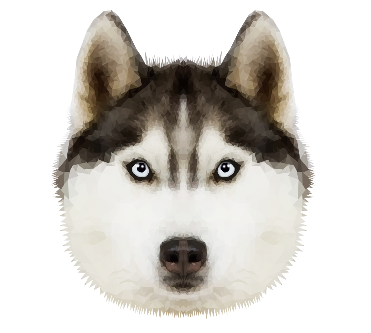 Husky Transparent Image PNG Image