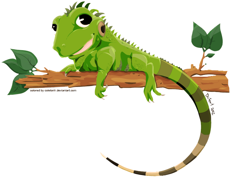 Iguana Transparent Image PNG Image