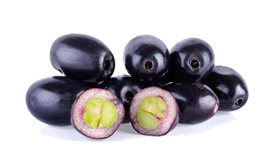 Jamun Java Plum Clipart PNG Image