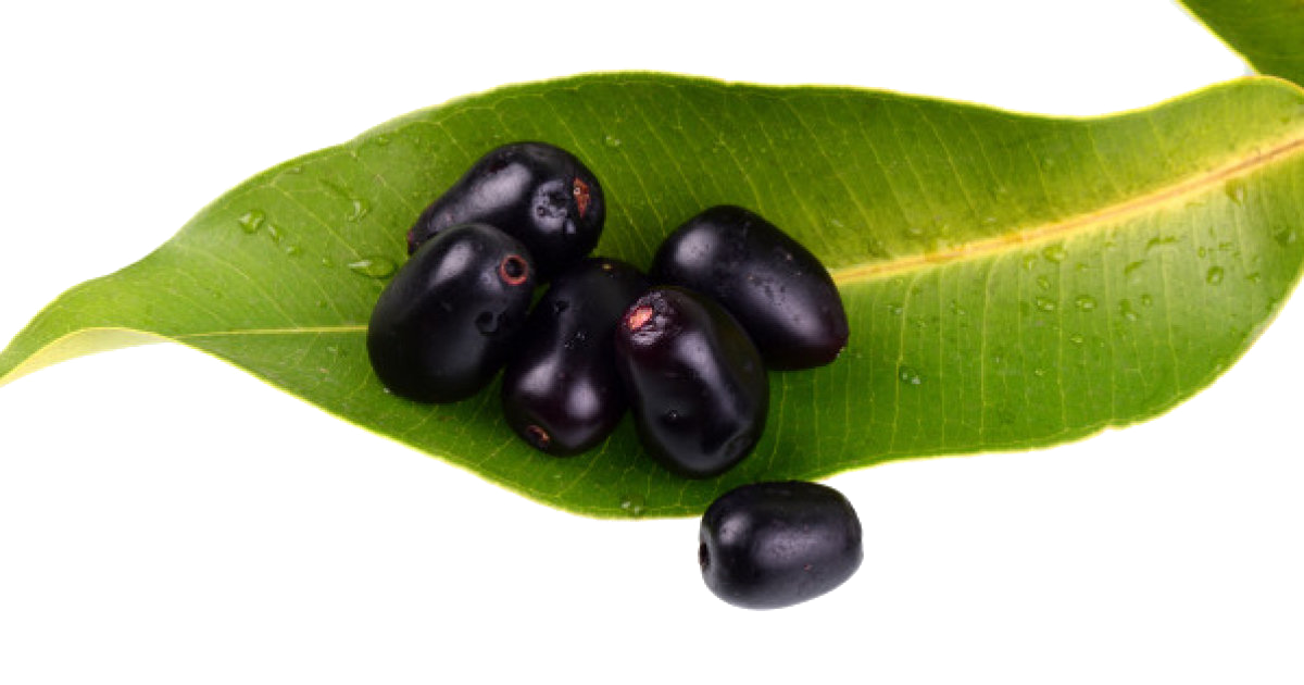 Jamun Java Plum Transparent Background PNG Image