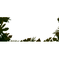 Jungle Transparent Image PNG Image