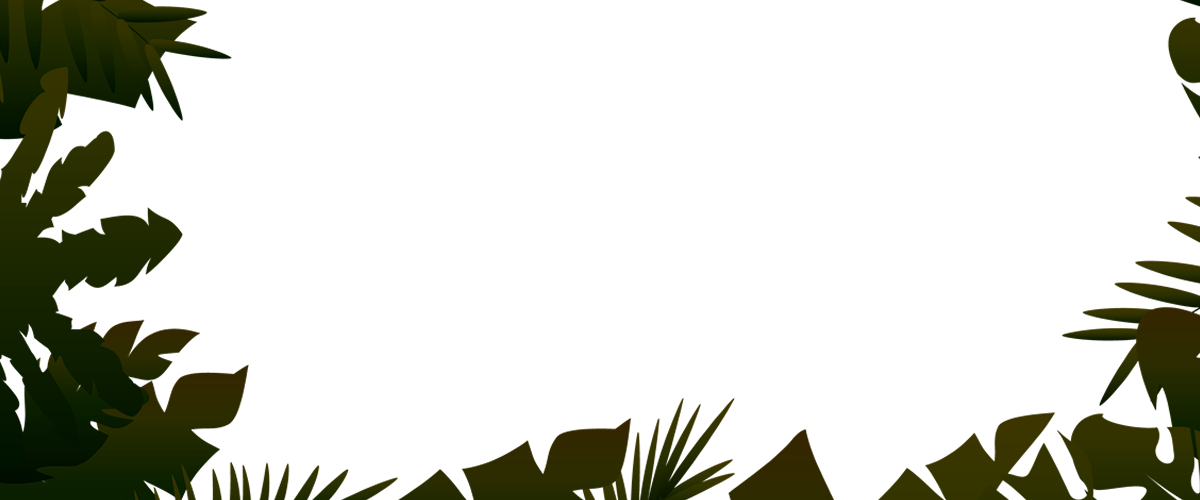 Jungle Transparent Image PNG Image