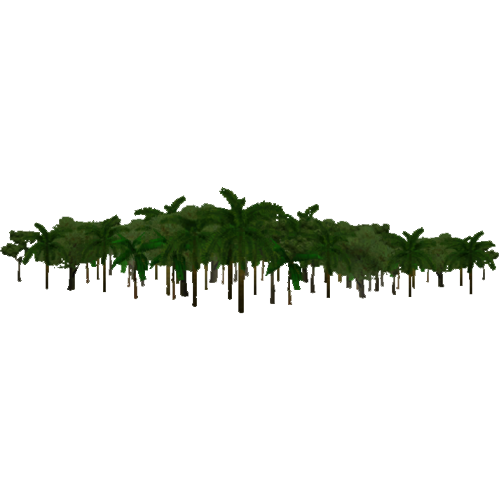 Jungle Transparent Background PNG Image