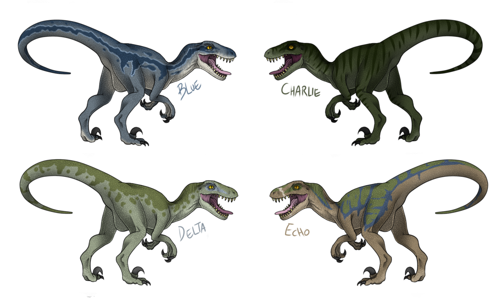 Velociraptor Dinosaur Fauna Owen Drawing Free HQ Image PNG Image