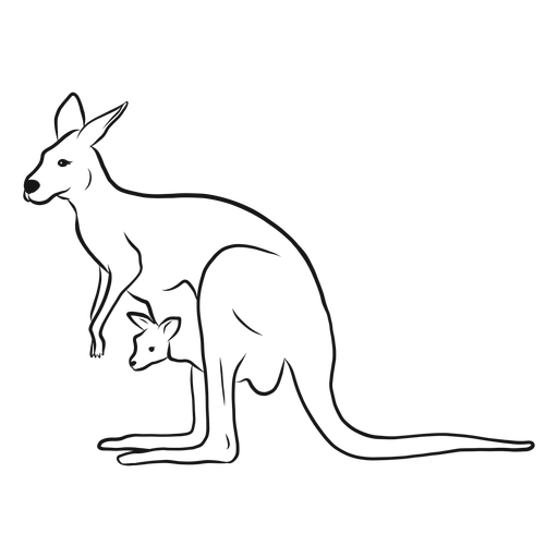 Kangaroo Joey HQ Image Free PNG Image