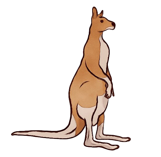 Wallaby Kangaroo Free PNG HQ PNG Image