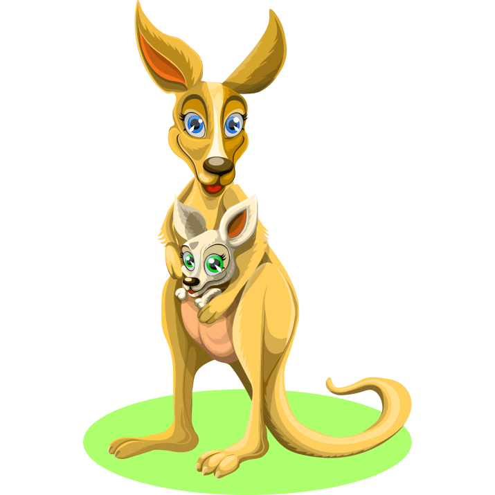 Kangaroo Free Clipart HD PNG Image