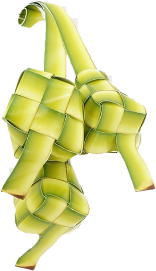 Ketupat Free PNG HQ PNG Image