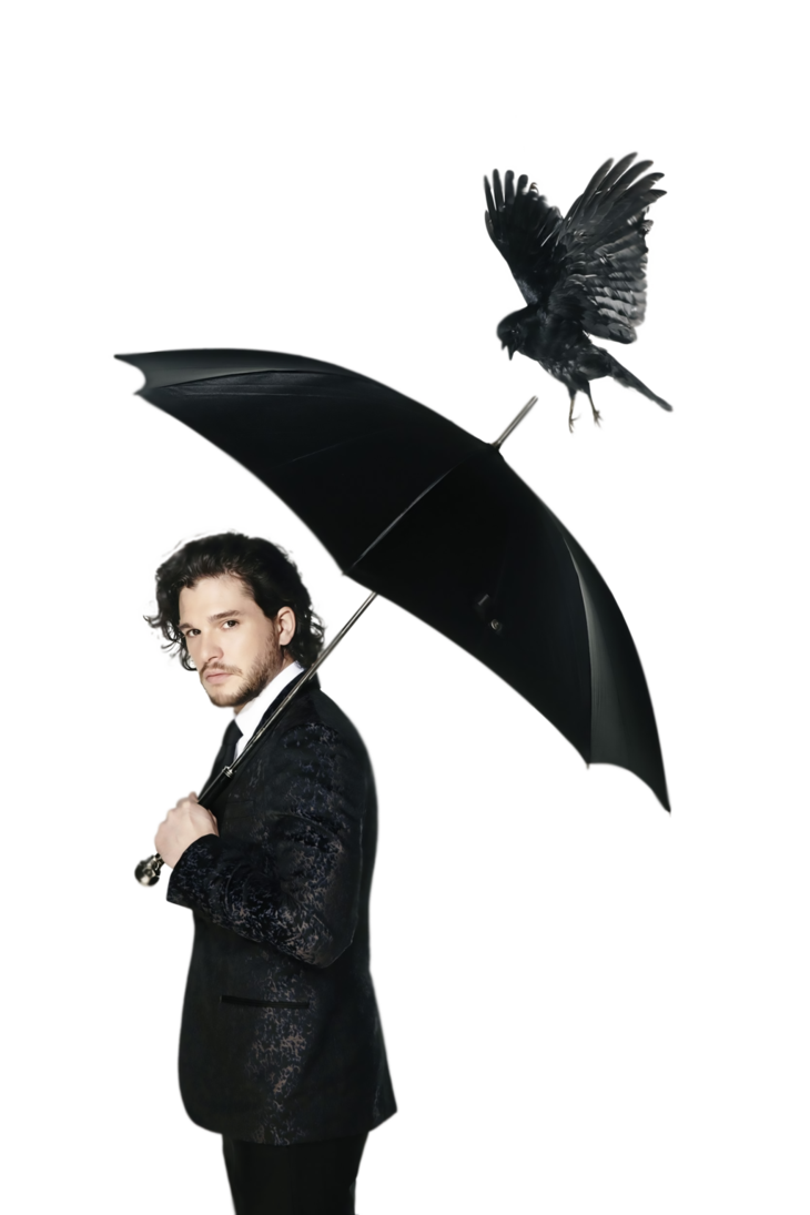 Harington Kit Free Clipart HQ PNG Image