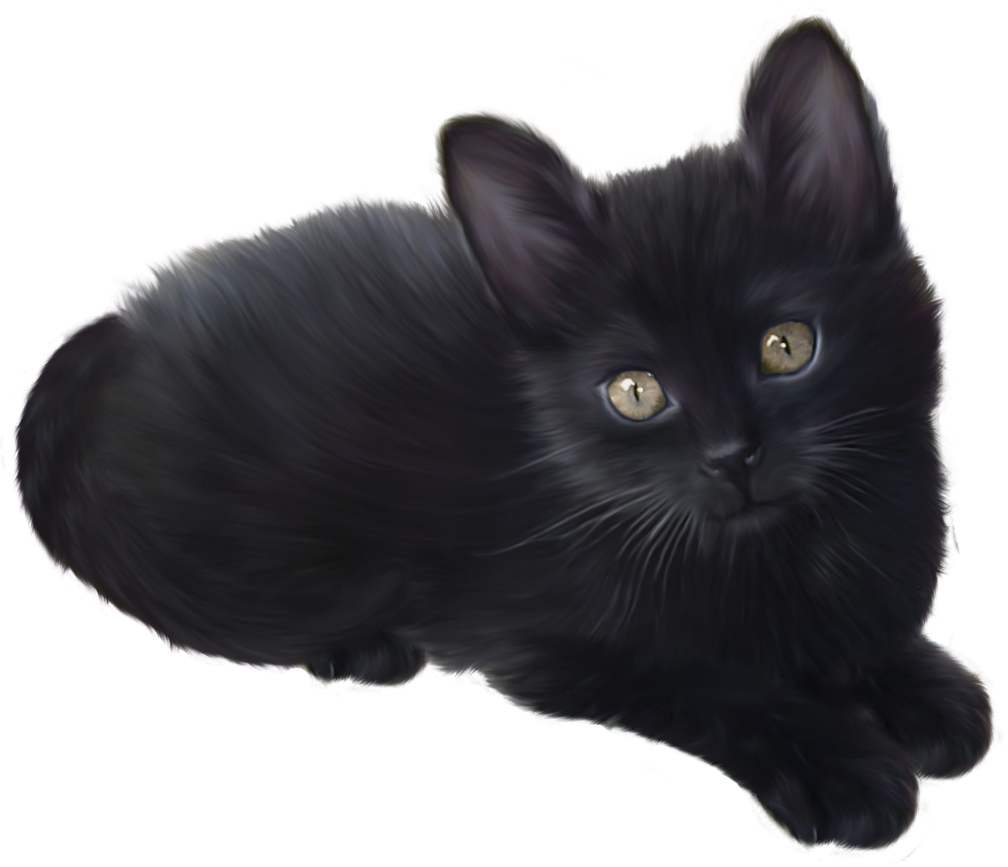 Kitten Free HQ Image PNG Image