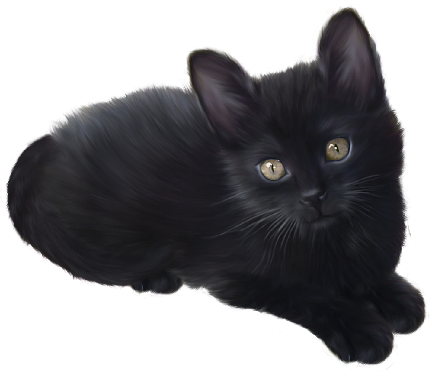 Kitten Png PNG Image