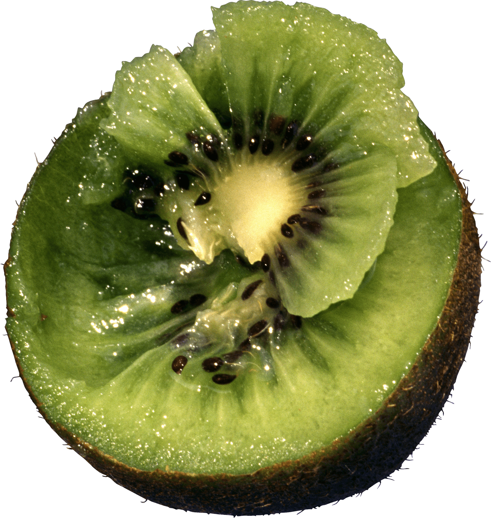 Kiwi Png Image Fruit Kiwi Png Pictures Download PNG Image