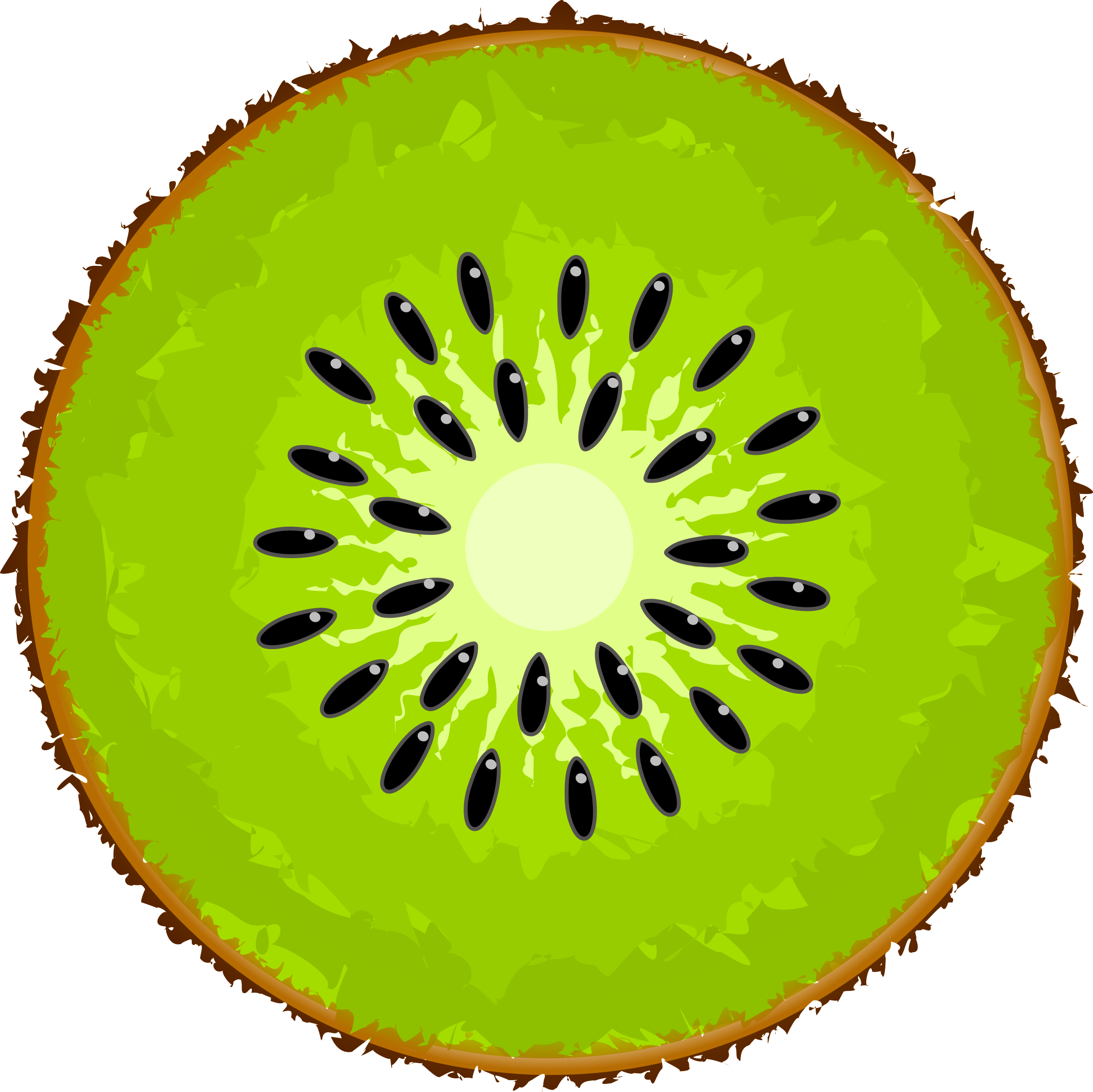 Kiwi Slice Image PNG Image