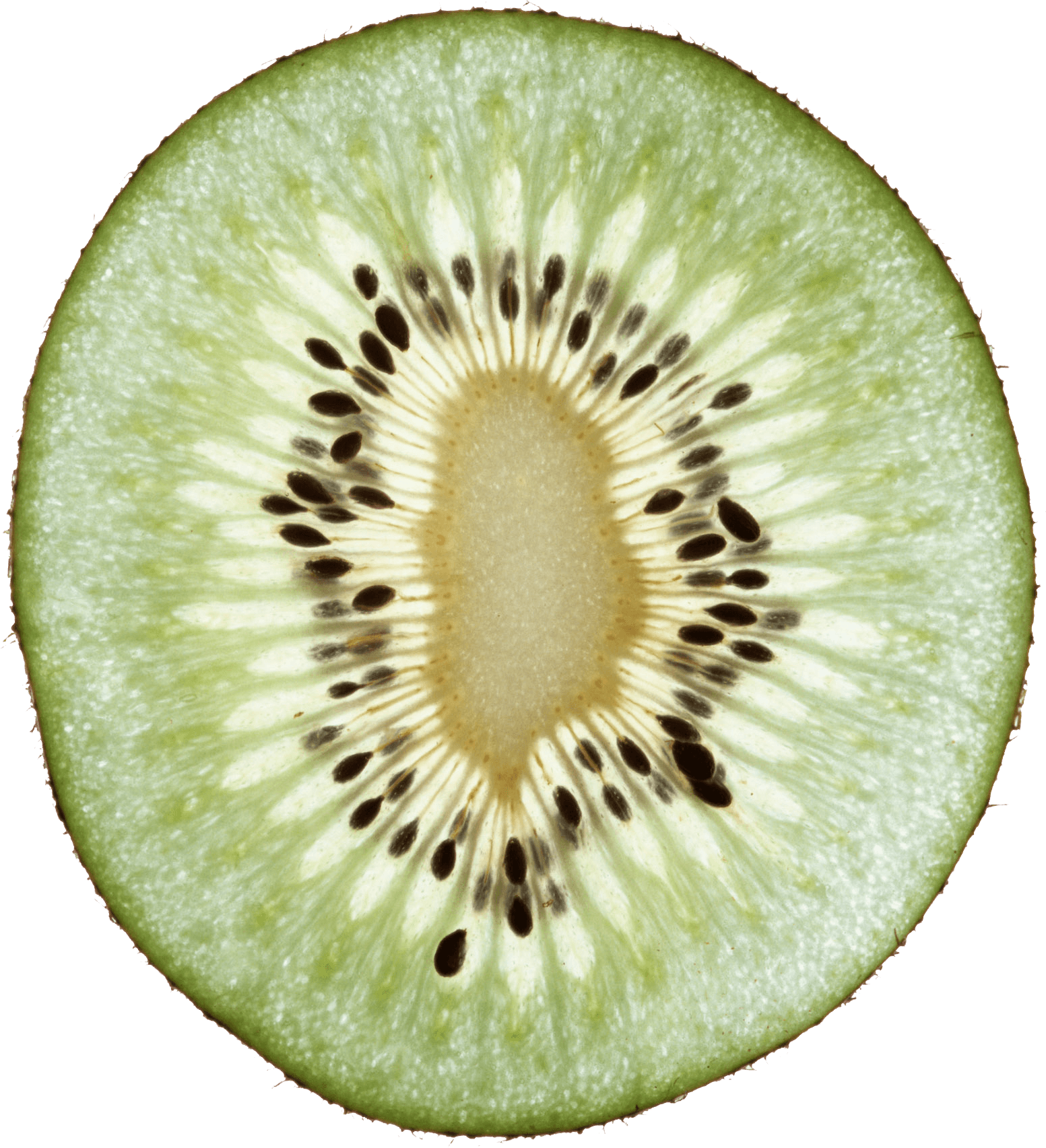 Kiwi Png Image Fruit Kiwi Png Pictures Download PNG Image