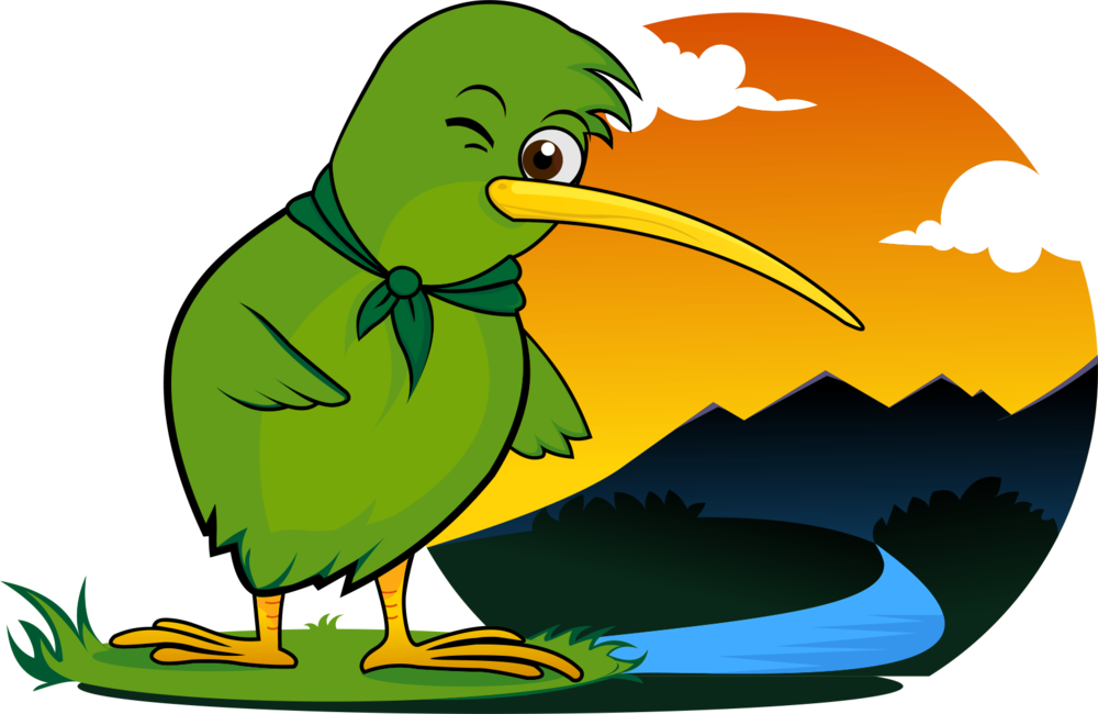 Kiwi Bird Free HQ Image PNG Image