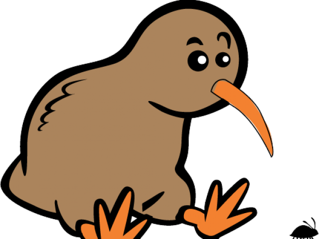 Kiwi Vector Bird Free Download PNG HD PNG Image